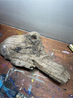 Natural Driftwood Aquarium & Terrarium Decoration - Brown found on James River